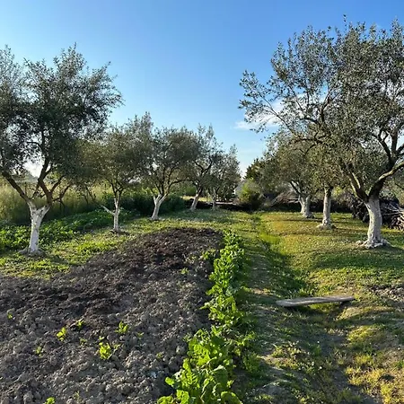 Appartamento Telis One *